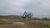 Terreno, 2 hectares - Foto 3