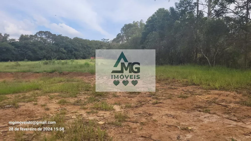 Sítio, 2 quartos, 2 hectares - Foto 2