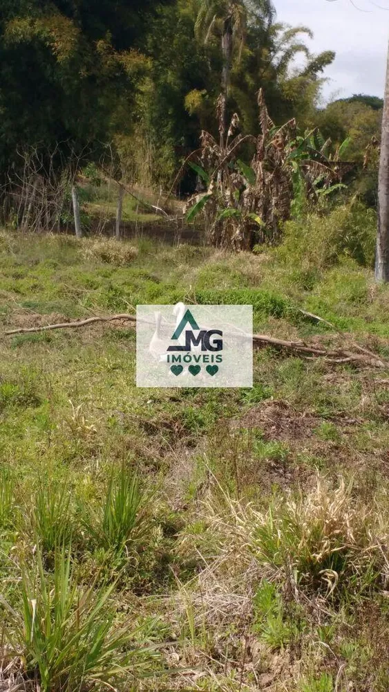 Terreno, 4000 m² - Foto 2