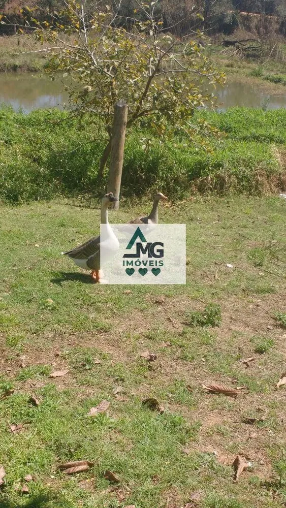 Terreno, 4000 m² - Foto 6