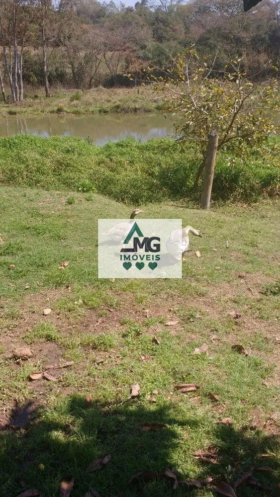 Terreno, 4000 m² - Foto 3
