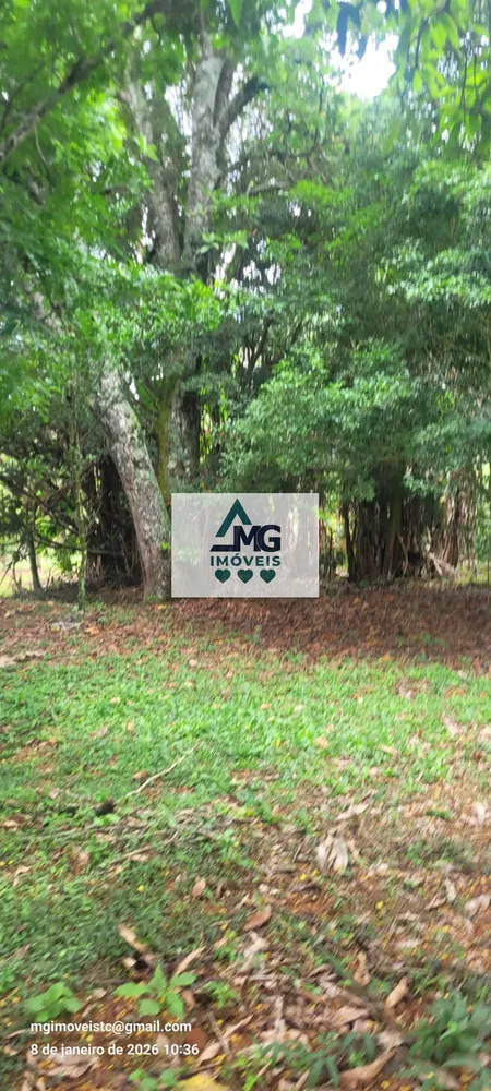 Casa, 3 quartos, 164 m² - Foto 6
