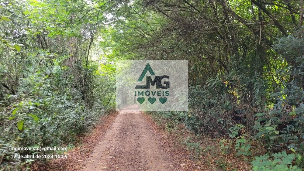 Terreno, 2 hectares - Foto 4