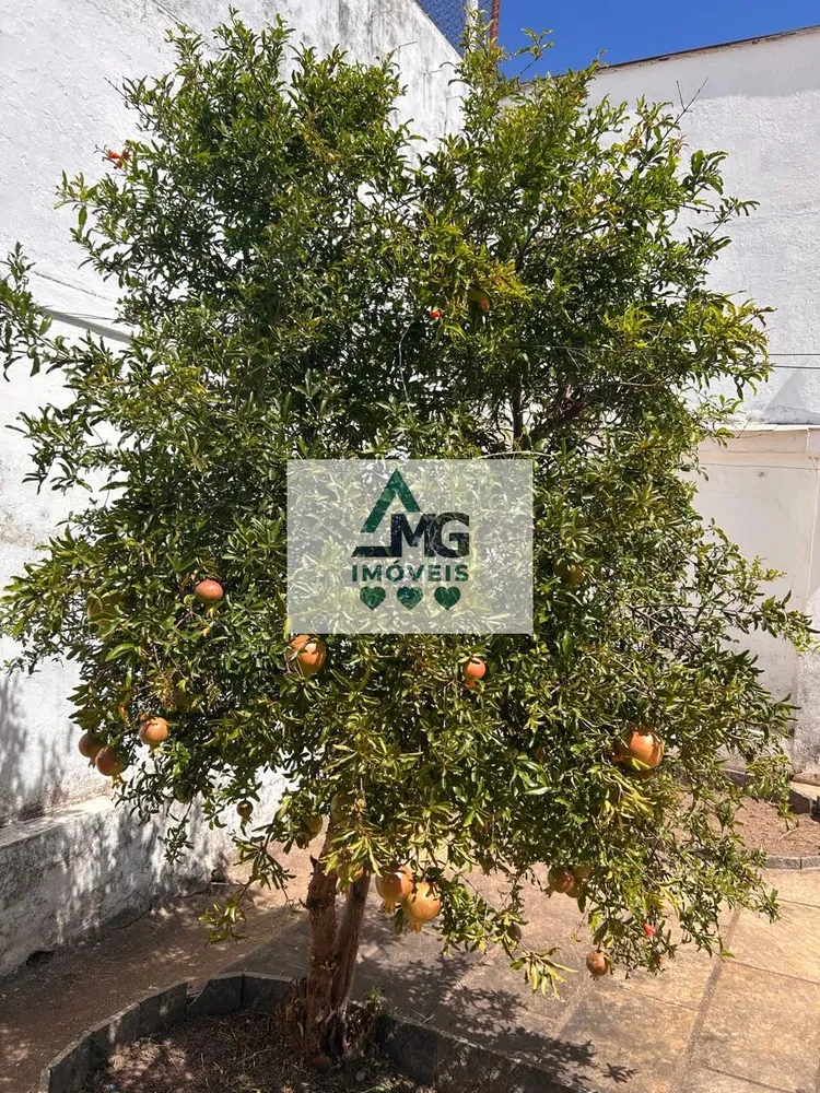 Casa, 3 quartos, 400 m² - Foto 4