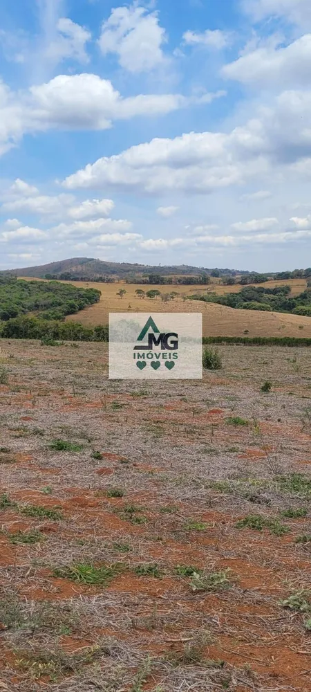 Fazenda, 31 hectares - Foto 5