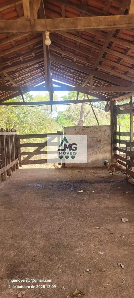 Fazenda, 31 hectares - Foto 4