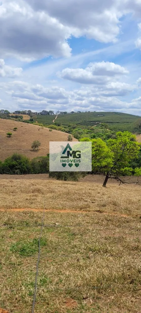 Fazenda, 31 hectares - Foto 1