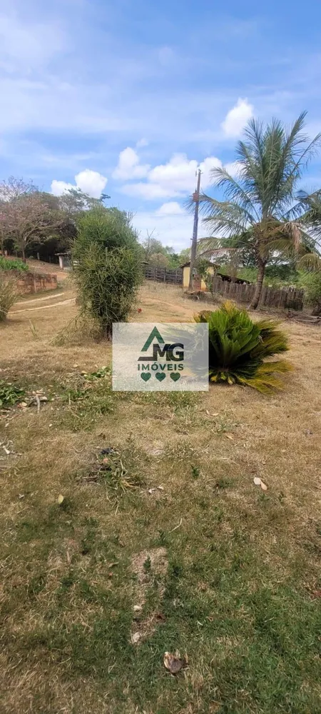 Fazenda, 31 hectares - Foto 11