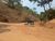 Terreno, 3 hectares - Foto 4