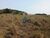 Terreno, 3 hectares - Foto 2