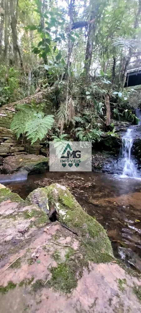 Fazenda, 29 m² - Foto 4