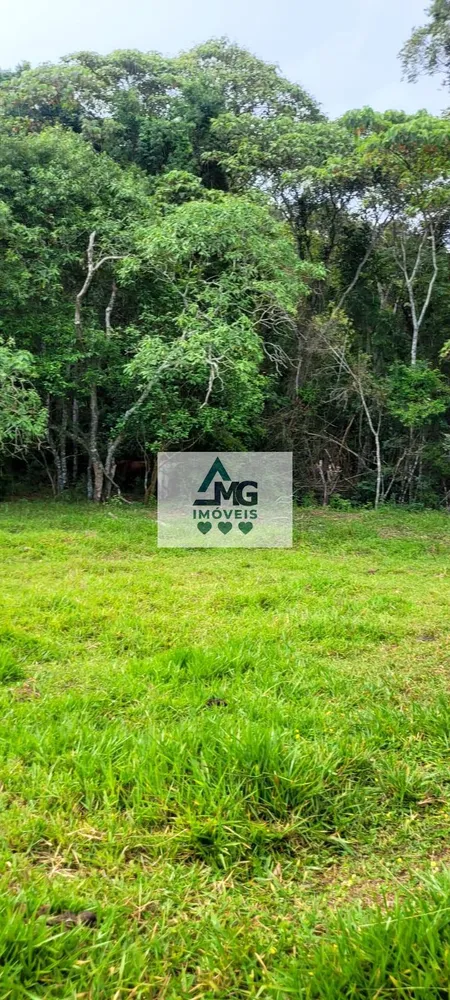 Fazenda, 29 m² - Foto 11
