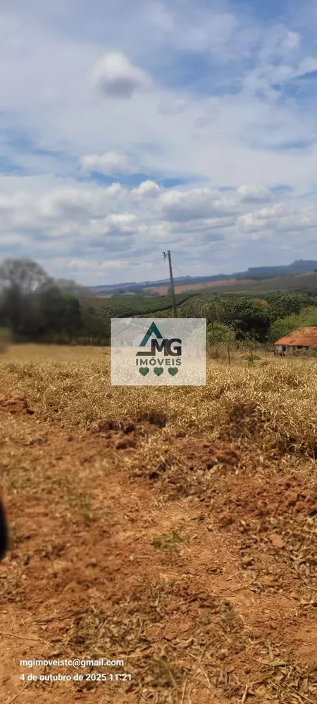 Fazenda, 31 hectares - Foto 1