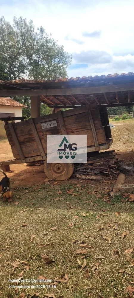 Fazenda, 31 hectares - Foto 4