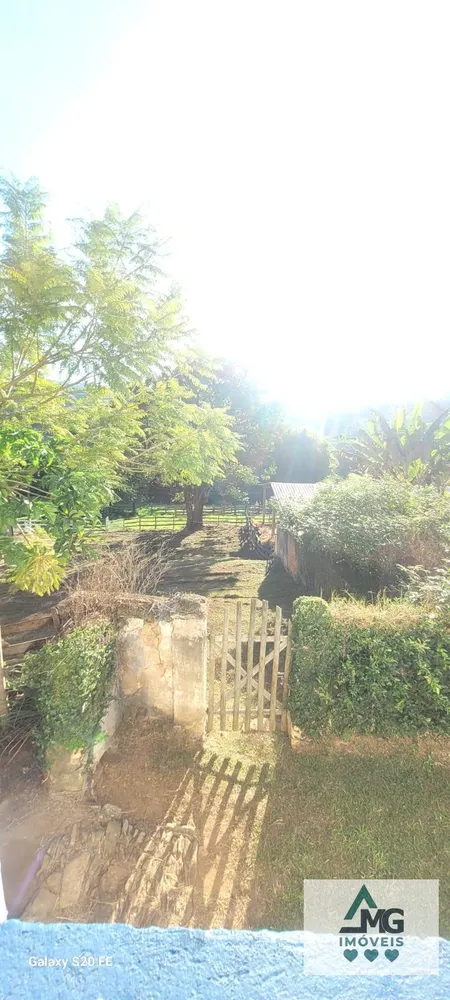 Fazenda, 10964 hectares - Foto 11