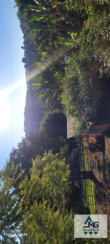 Fazenda, 10964 hectares - Foto 19