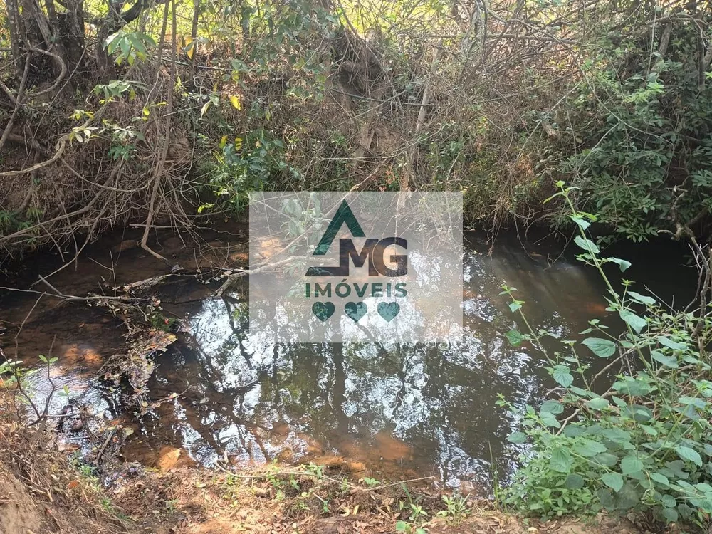 Terreno, 3 hectares - Foto 4