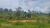 Sítio, 15 hectares - Foto 1