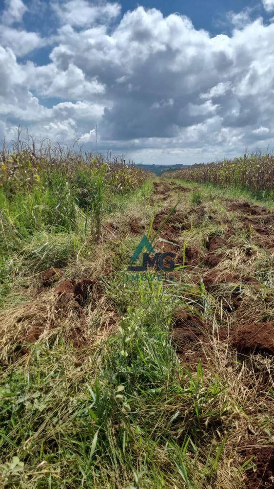 Terreno à venda, 44000M2 - Foto 3