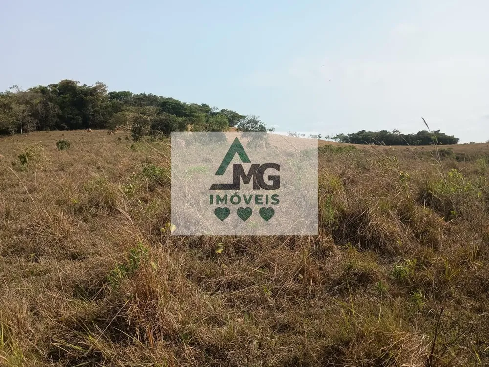 Terreno, 3 hectares - Foto 4