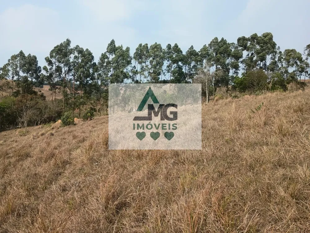 Terreno, 3 hectares - Foto 4