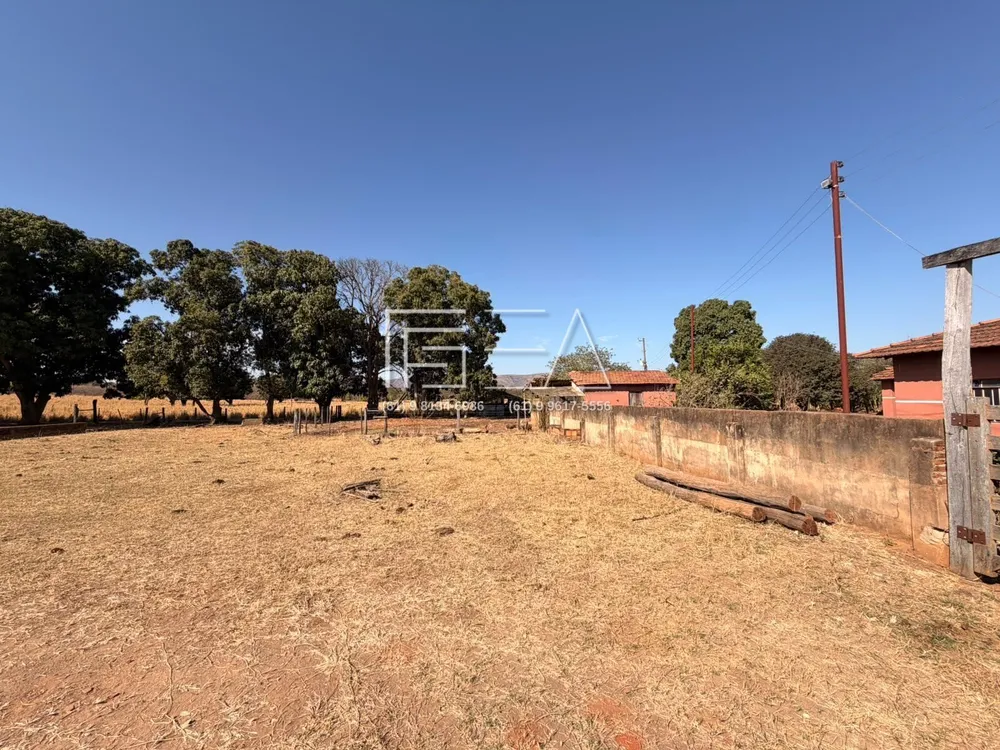 Chácara, 4 quartos, 53 hectares - Foto 1