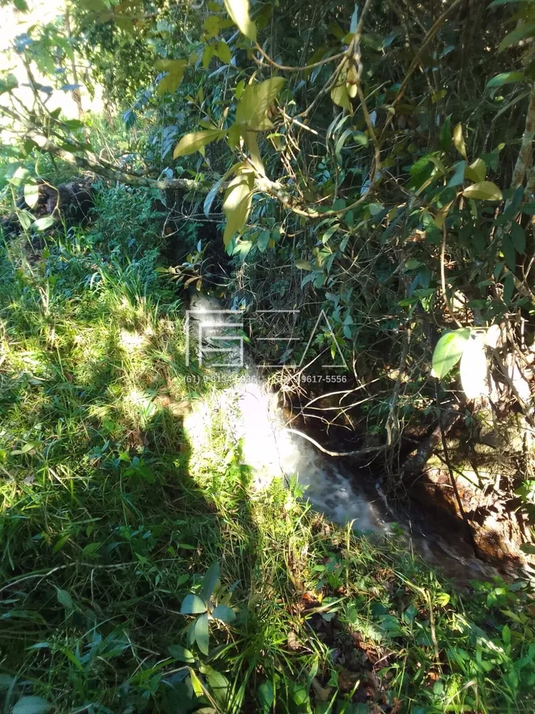 Sítio, 3 quartos, 8 hectares - Foto 4