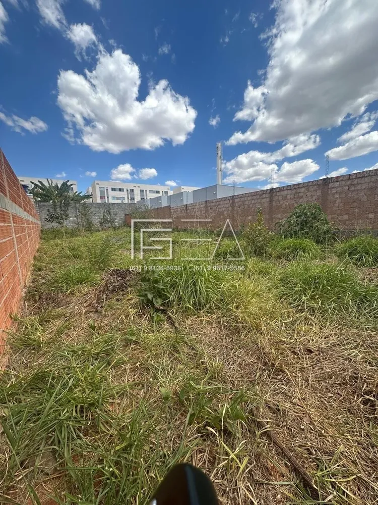 Terreno, 300 m² - Foto 4
