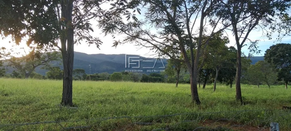Fazenda, 102 hectares - Foto 1