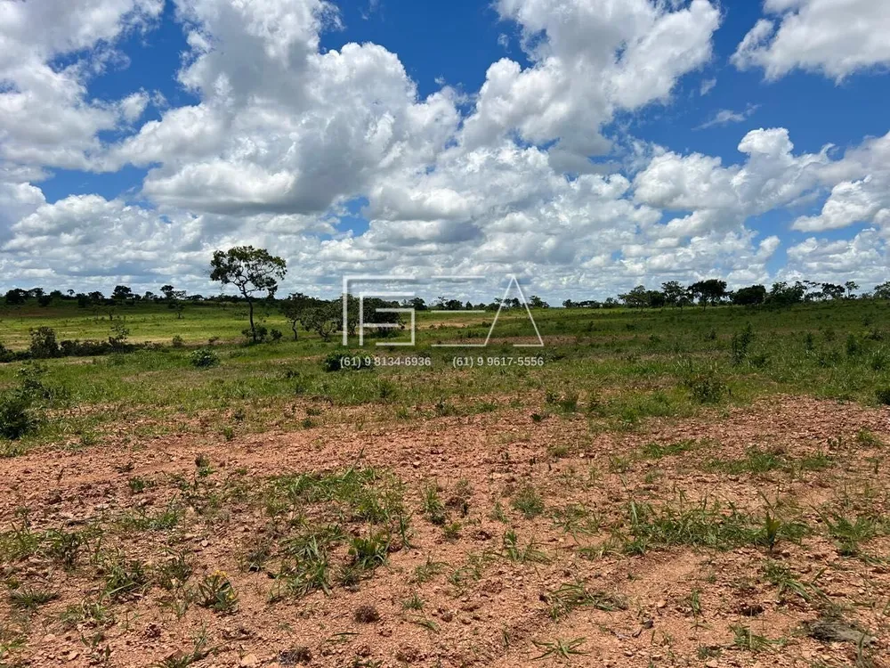 Fazenda, 114 hectares - Foto 4