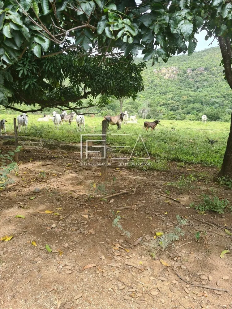 Fazenda, 3 quartos - Foto 2