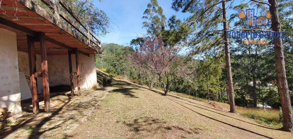 Casa, 4 quartos, 376 m² - Foto 32