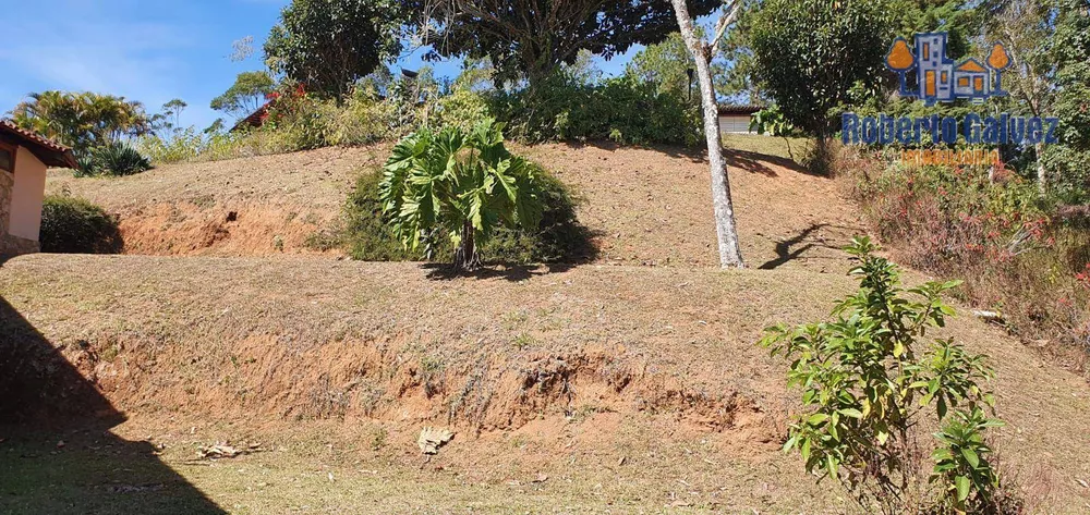 Casa, 4 quartos, 376 m² - Foto 36