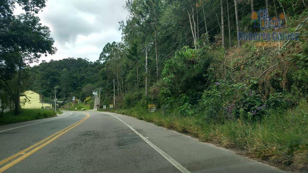 Terreno, 23 hectares - Foto 4