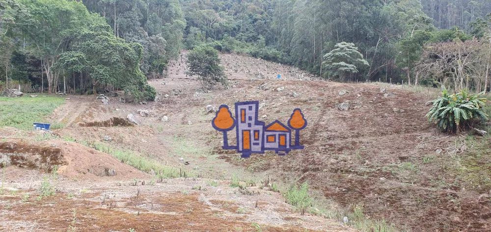Terreno, 4 hectares - Foto 6