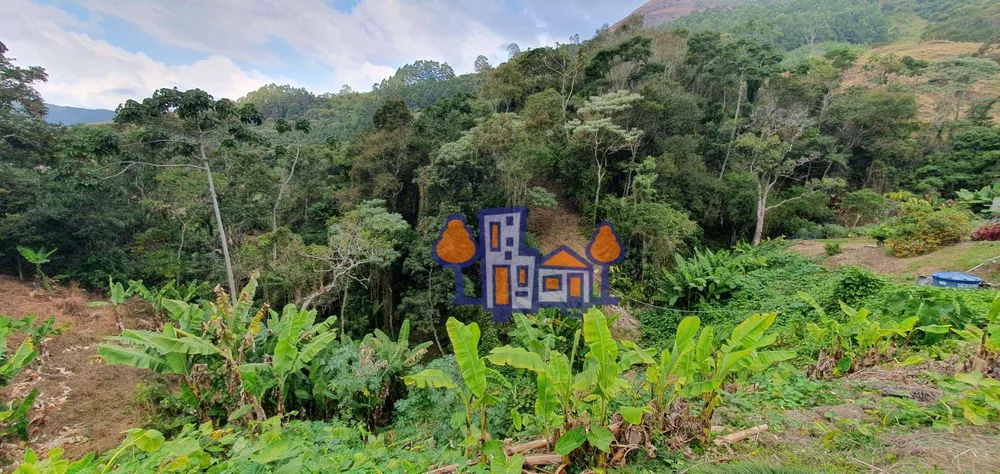 Terreno, 4 hectares - Foto 11