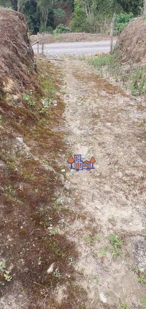 Terreno, 4 hectares - Foto 8