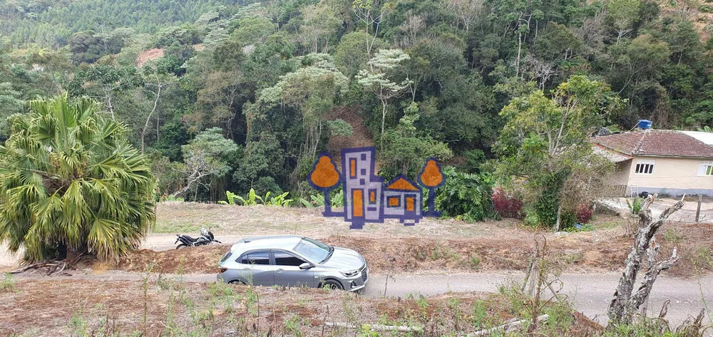 Terreno, 4 hectares - Foto 7