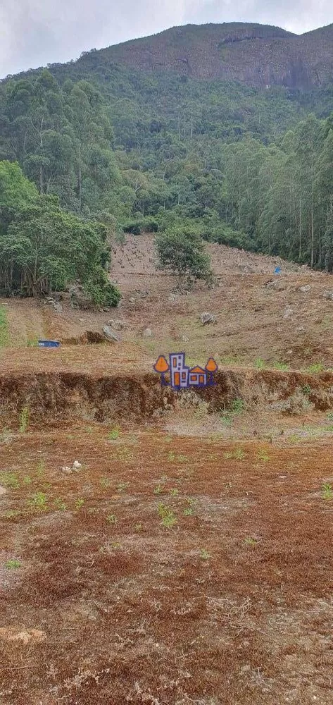 Terreno, 4 hectares - Foto 4