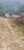 Terreno, 4 hectares - Foto 4
