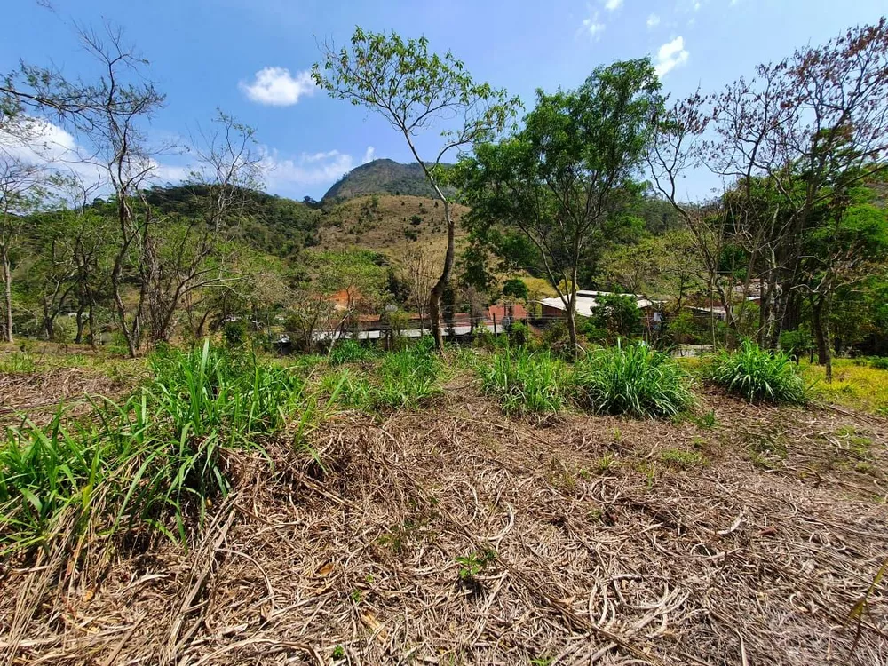 Terreno, 9 hectares - Foto 25