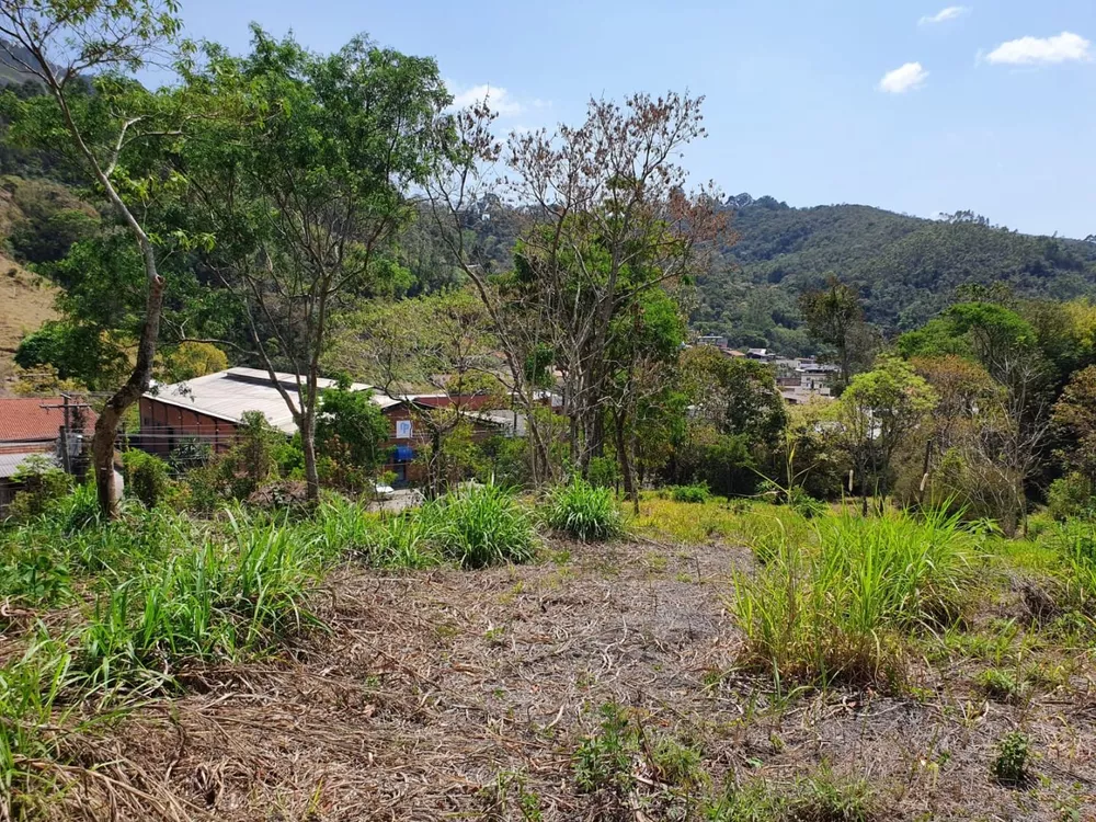 Terreno, 9 hectares - Foto 9