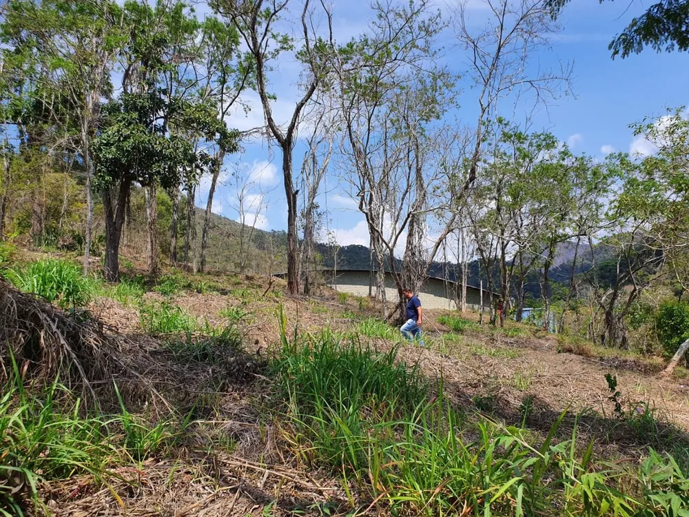 Terreno, 9 hectares - Foto 22