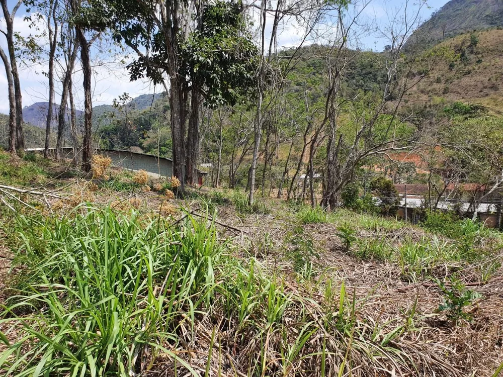 Terreno, 9 hectares - Foto 8