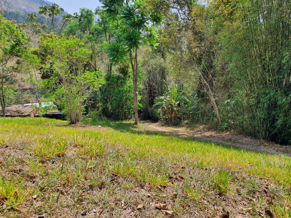 Terreno, 9 hectares - Foto 12