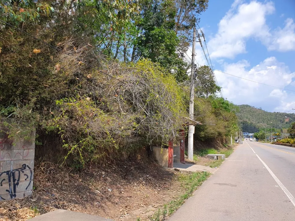 Terreno, 9 hectares - Foto 7
