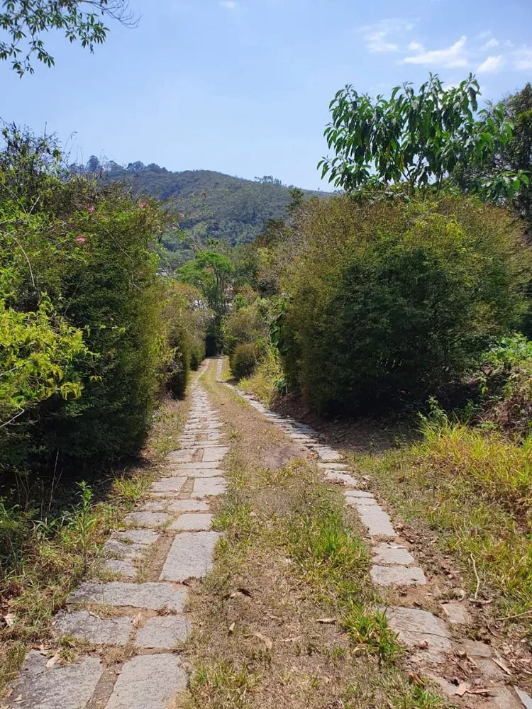 Terreno, 9 hectares - Foto 21