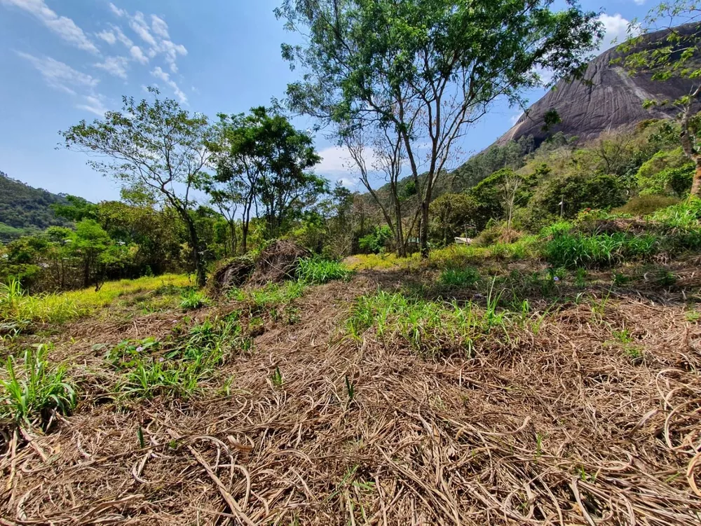 Terreno, 9 hectares - Foto 24