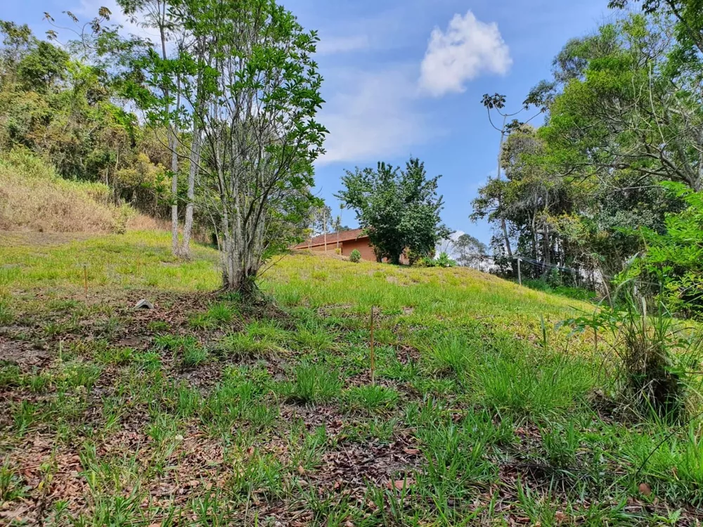 Terreno, 9 hectares - Foto 19