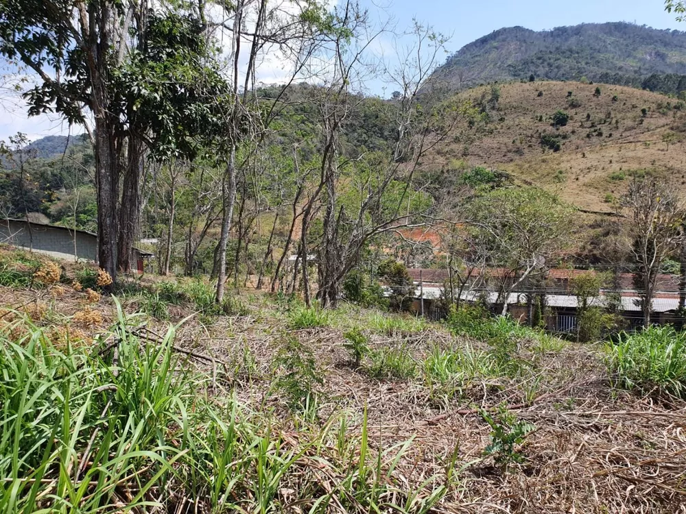 Terreno, 9 hectares - Foto 10